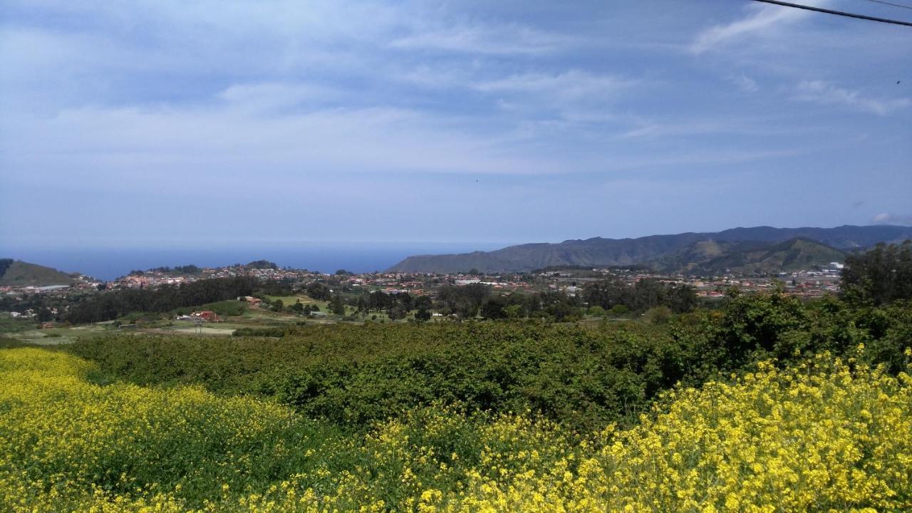 Apartamento Privado En Zona Tranquila Y Próxima Al Aeropuerto Tf Norte Y A La Ciudad De San Cristóbal De La Laguna . La Laguna (Tenerife)